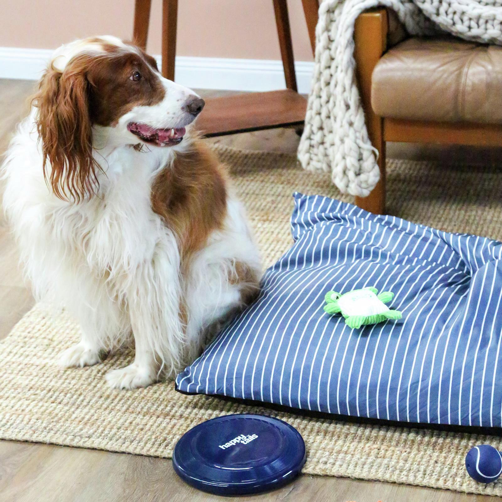 Happy Tails Squeaking Frog Dog Toy Bunnings Australia