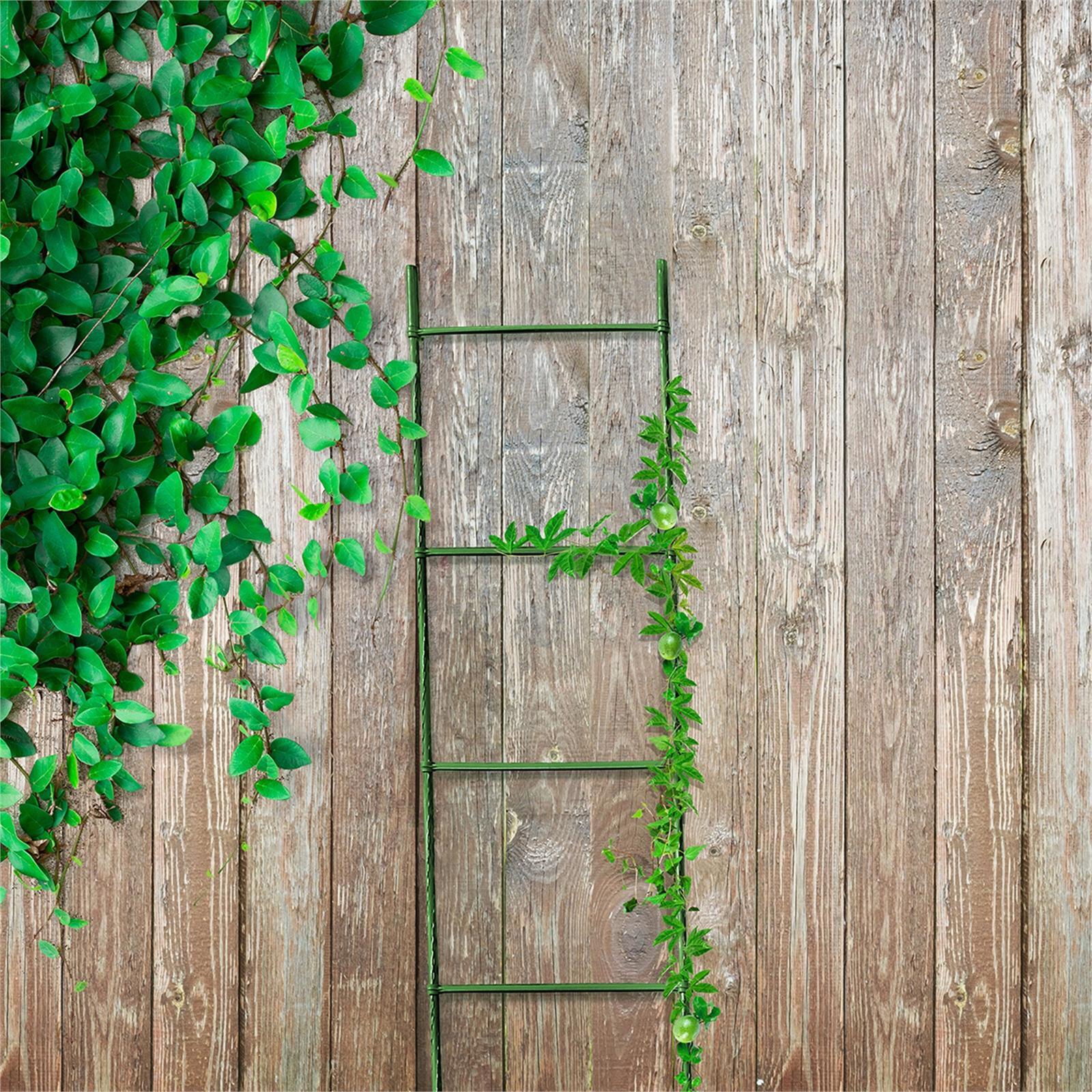 Whites 2m Pea And Bean Ladder Kit Bunnings Australia