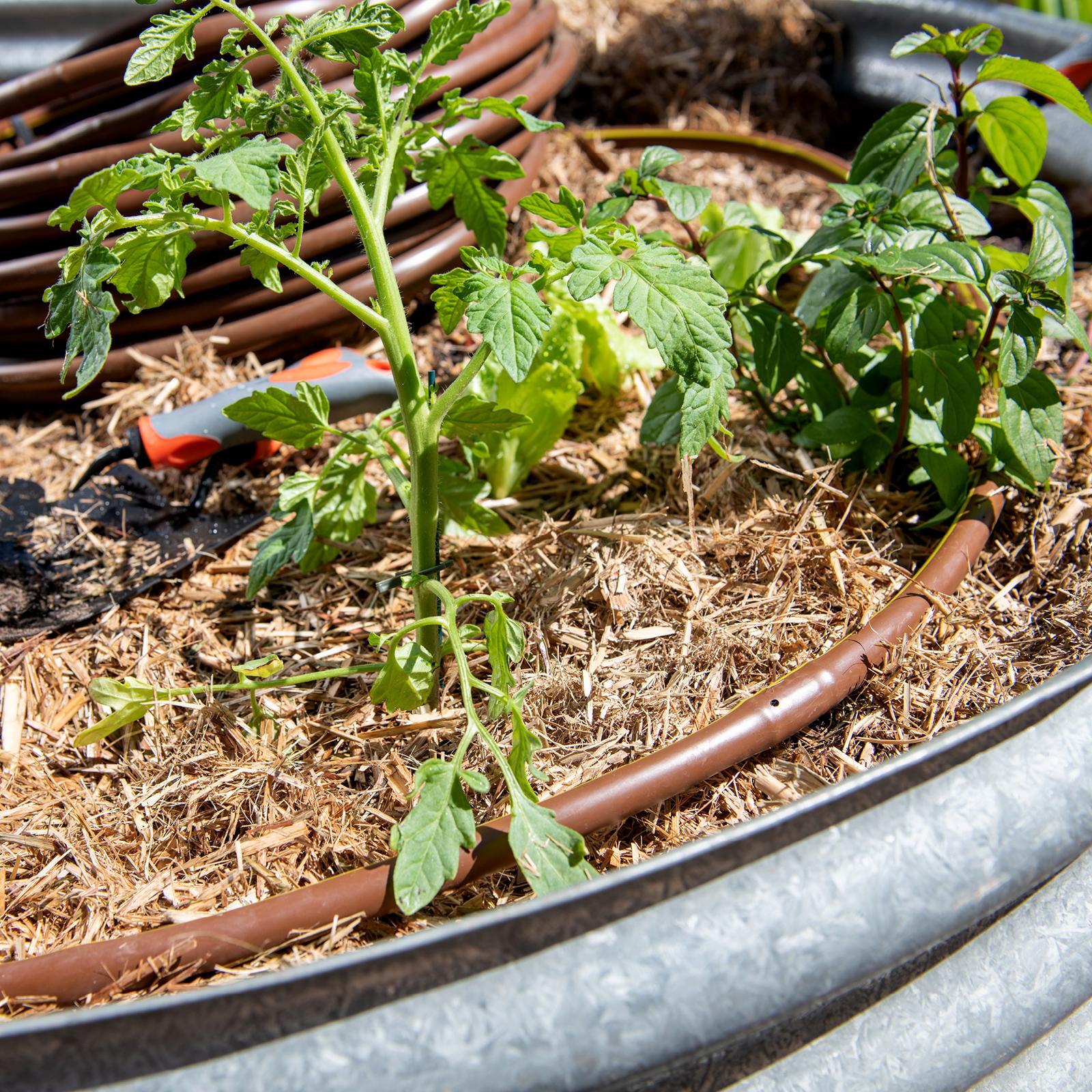 Pope 13mm x 100m Drip Eze Drip Irrigation Tube Bunnings Australia