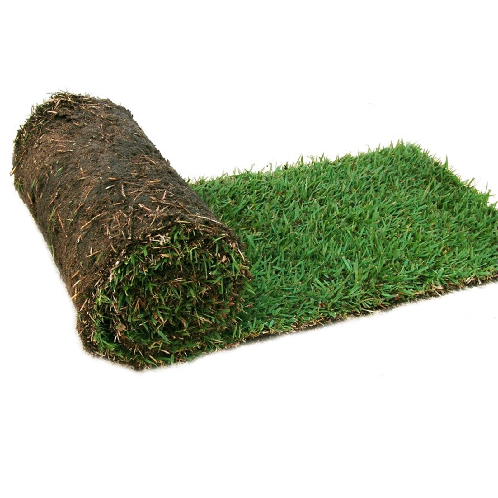 Turf Growers Direct Greencover Couch Turf 1m² Roll Bunnings Australia