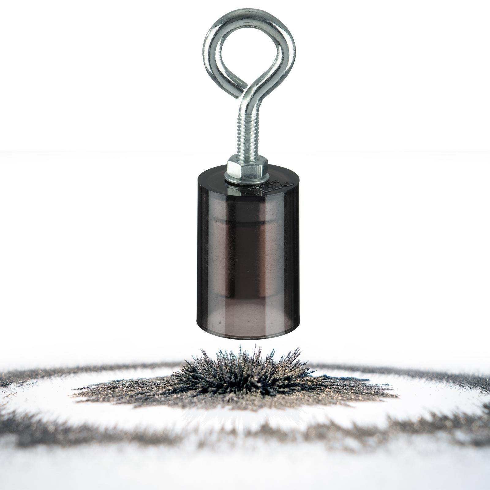 Deta Powerful Bunnings Australia