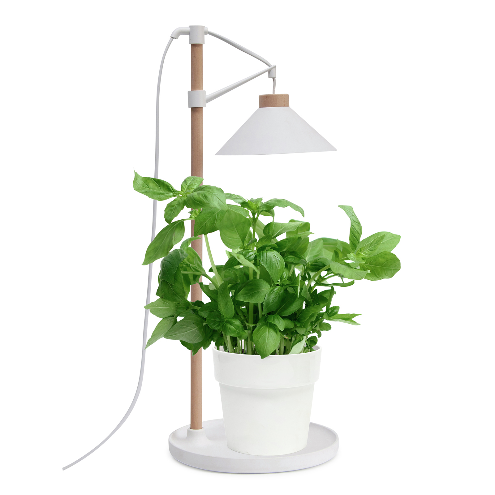 Home Grown Grow Table Lamp Bunnings Australia