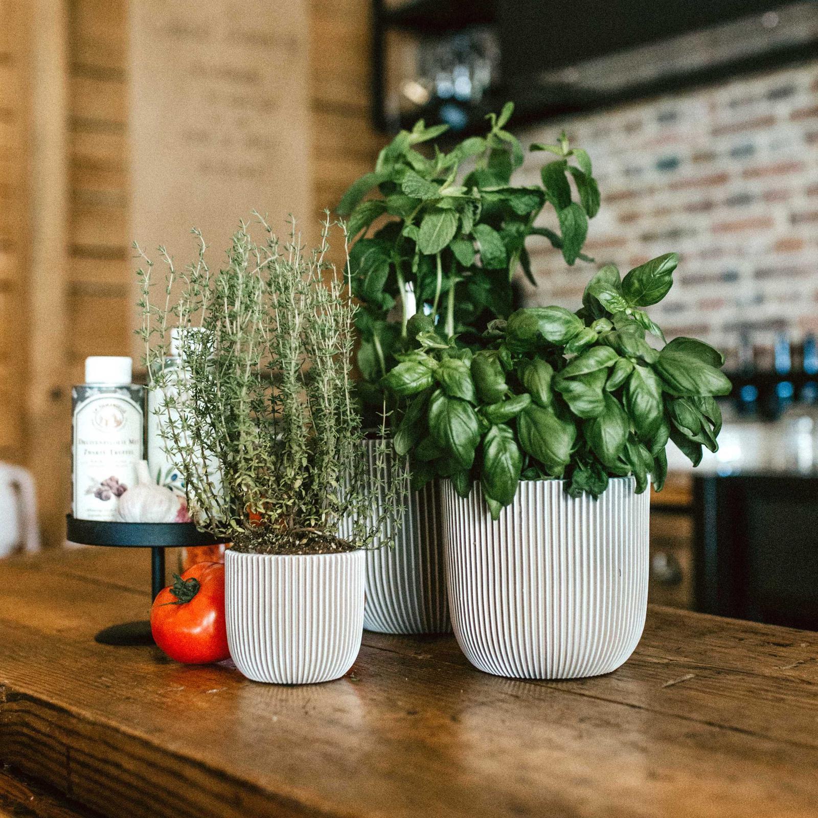 Capi 18 x 16cm Ivory Groove Indoor Plant Pot Bunnings Australia