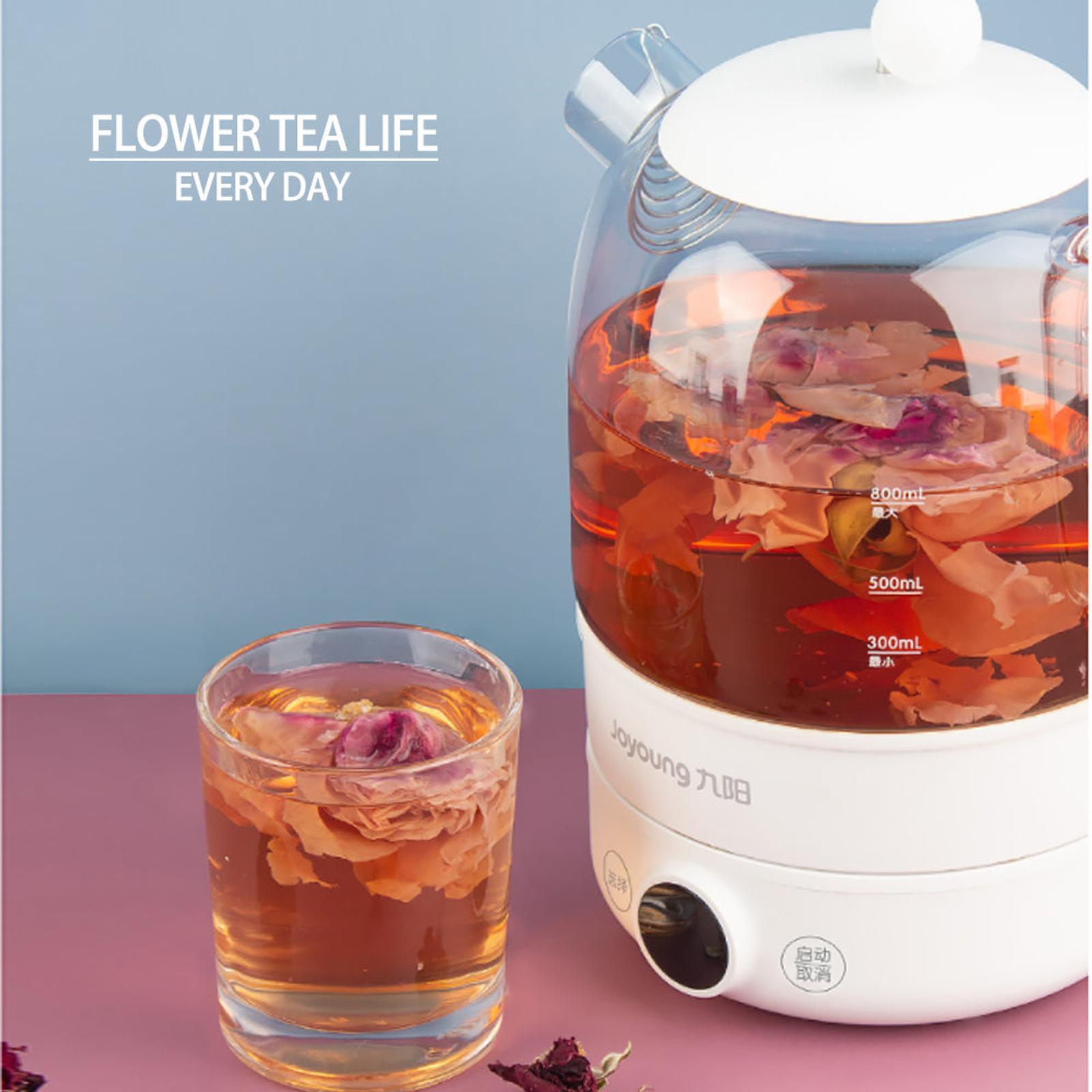 Joyoung 800ml Multi Purpose Nutrition Kettle Bunnings Australia