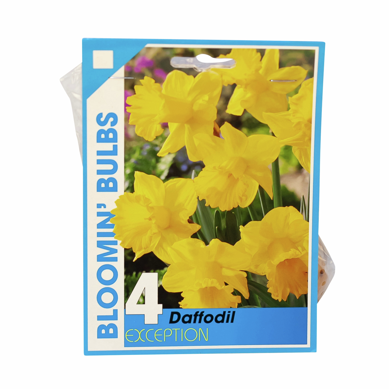 Bloomin' Bulbs Daffodil Exception Narcissus 4 Pack Bunnings Australia