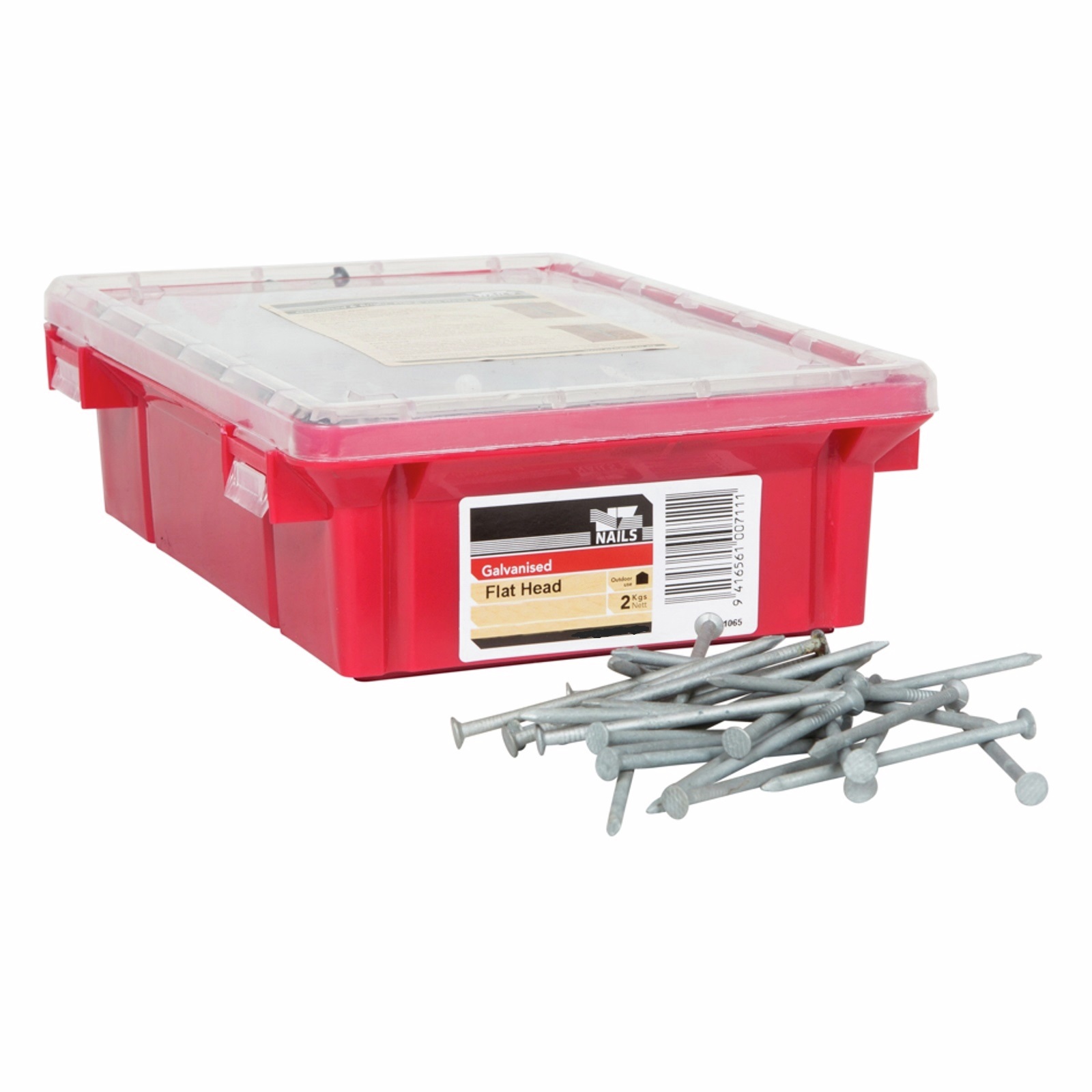 NZ Nails 100 x 4mm Galvanised Flat Head Nail 2kg Pack Bunnings New