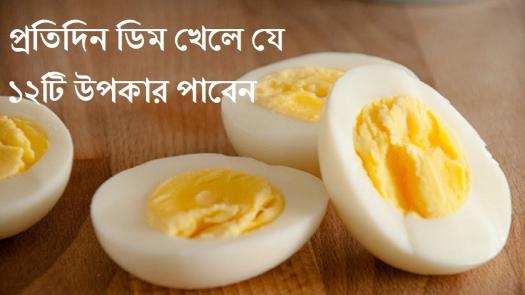 Test Your Knowledge Over Egg ProProfs Quiz