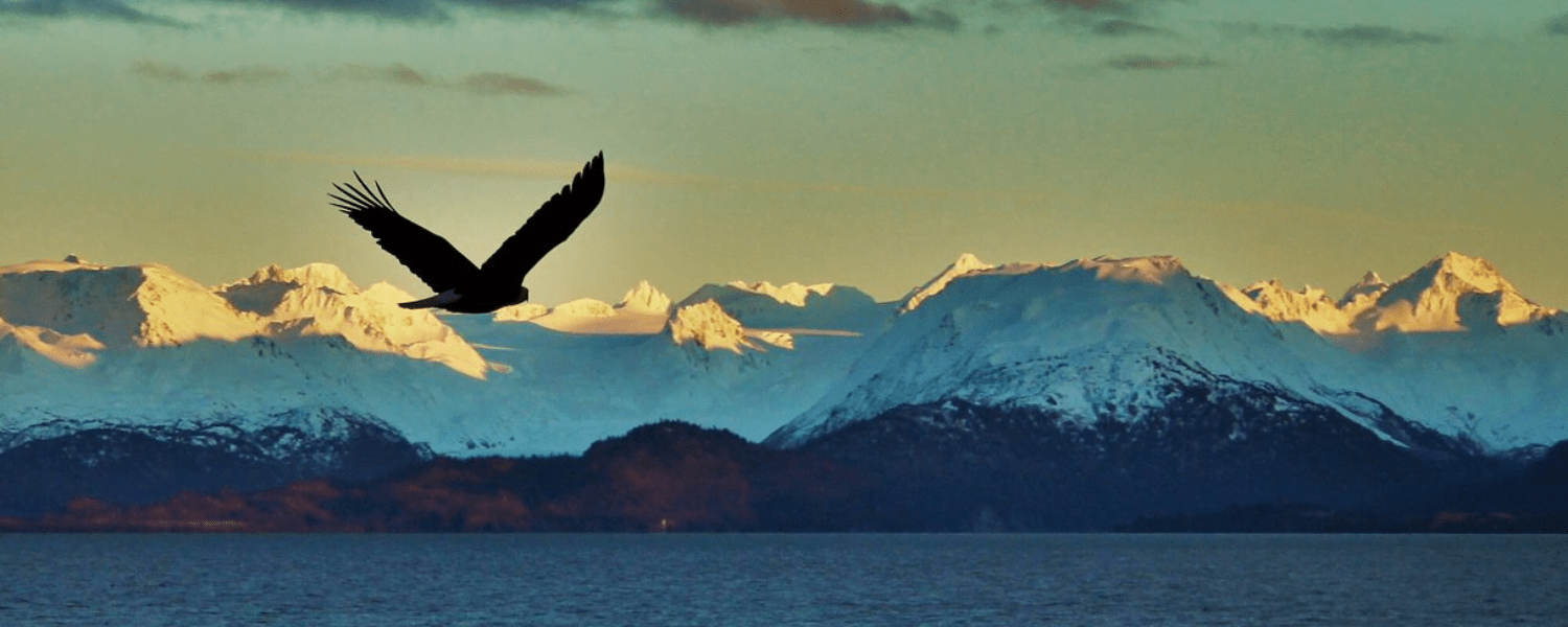5 Fun Facts about the History of Homer Alaska’s Best Kept Secret