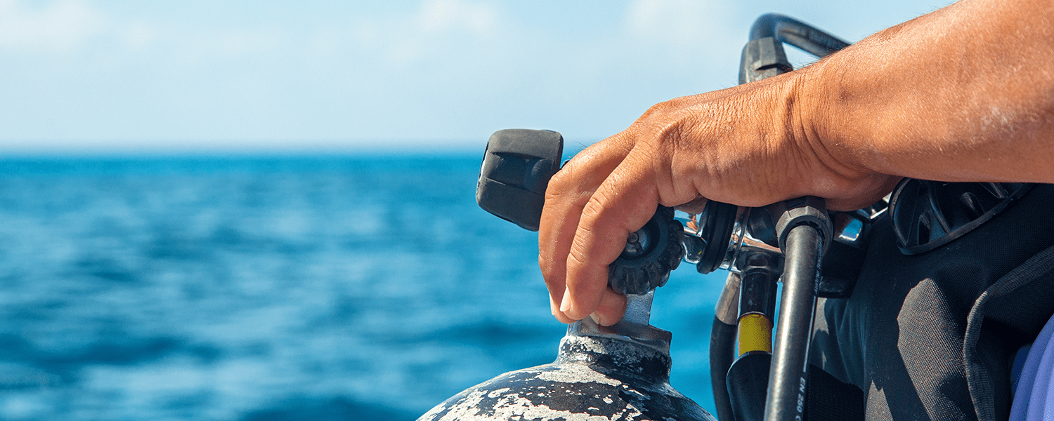 Exploring an Underwater World A Complete Guide to PADI Dive Shops in