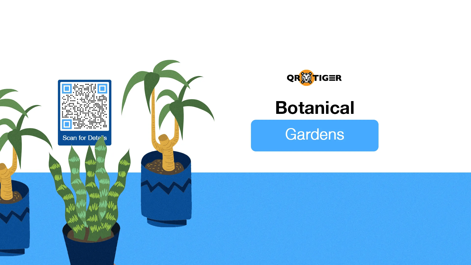 What is the Best QR Code generator for Teachers? Free Custom QR Code