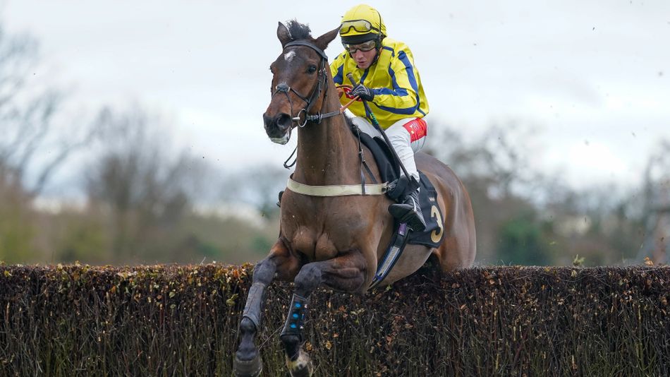 Dual Stayers' Hurdle winner Flooring Porter to take on three rivals for