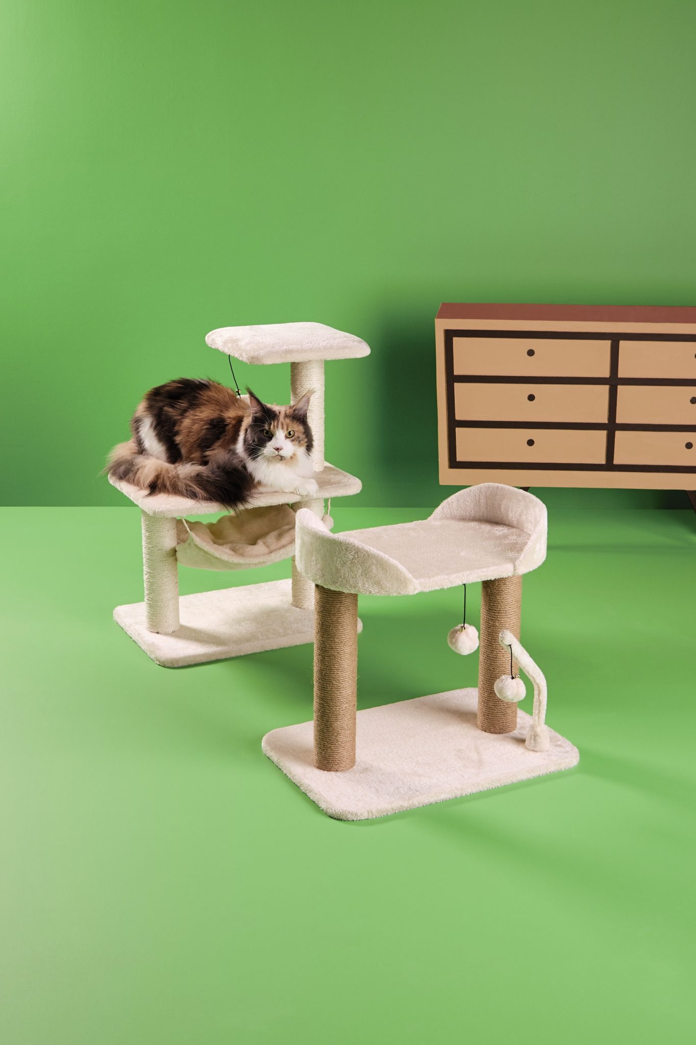 New Pet Collection Coming To Aldi This Month