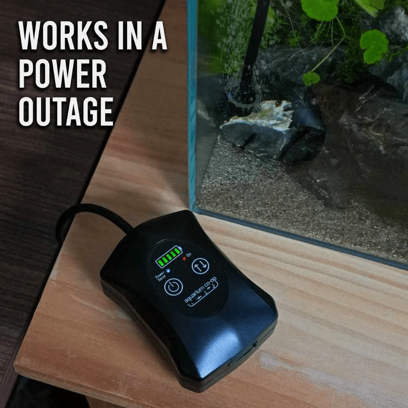 Fish Aquarium Air Pump Price In Pakistan