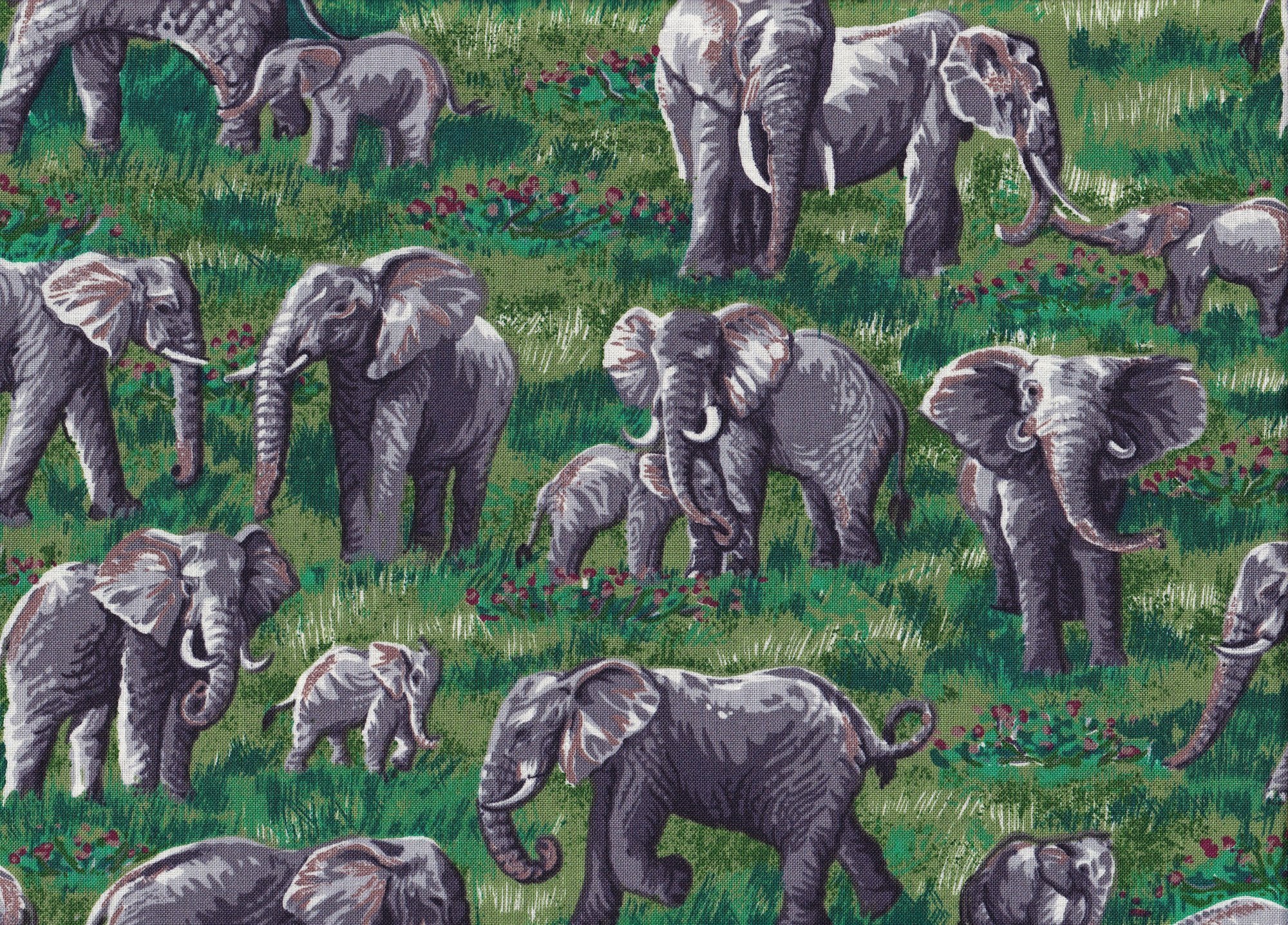 SPECIALTY FABRICS Elephants on Green Grass Elephants by Robert
