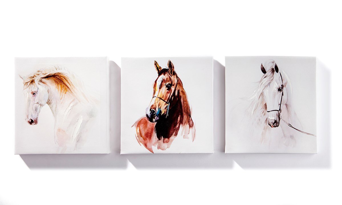 Canvas Horse Prints set of 3