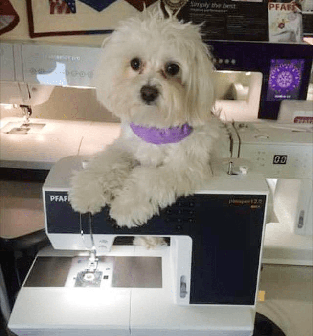 About Us Little Blessings Quilt Shop Crossville, Tennessee