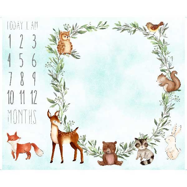 Sew & Go Xvii BABY MILESTONE BLANKET PANEL Q