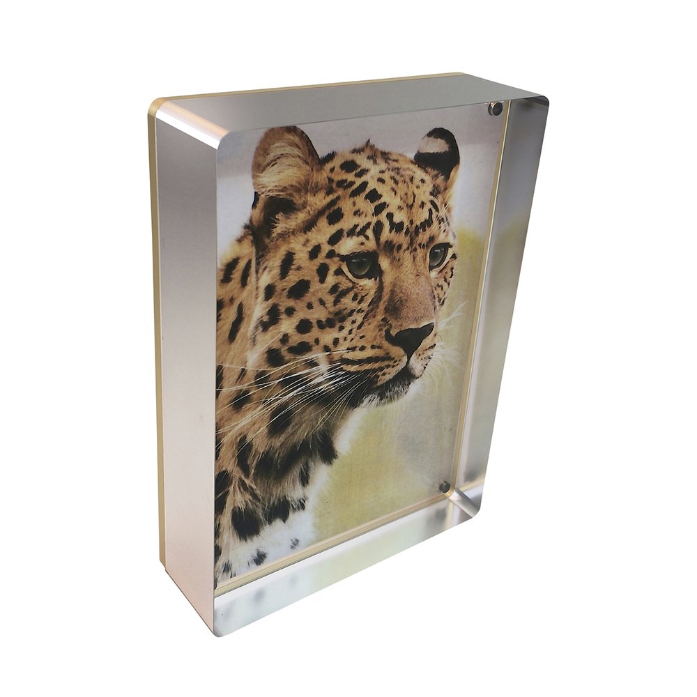 5x7 Silver Prestige Frame 756100760541