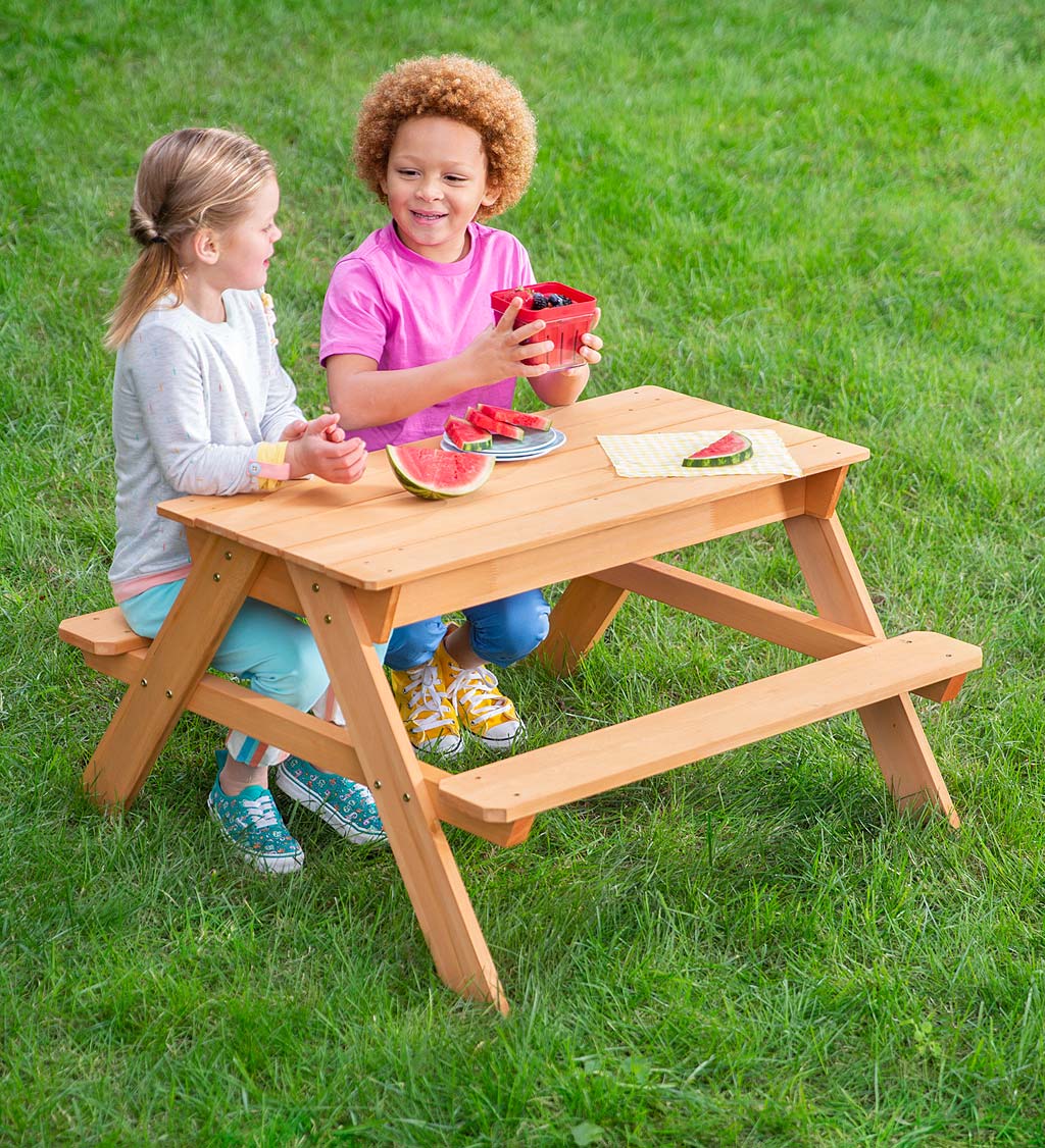 PICNIC TABLE WOODEN 2IN1 SENSORY TABLE 810019087196