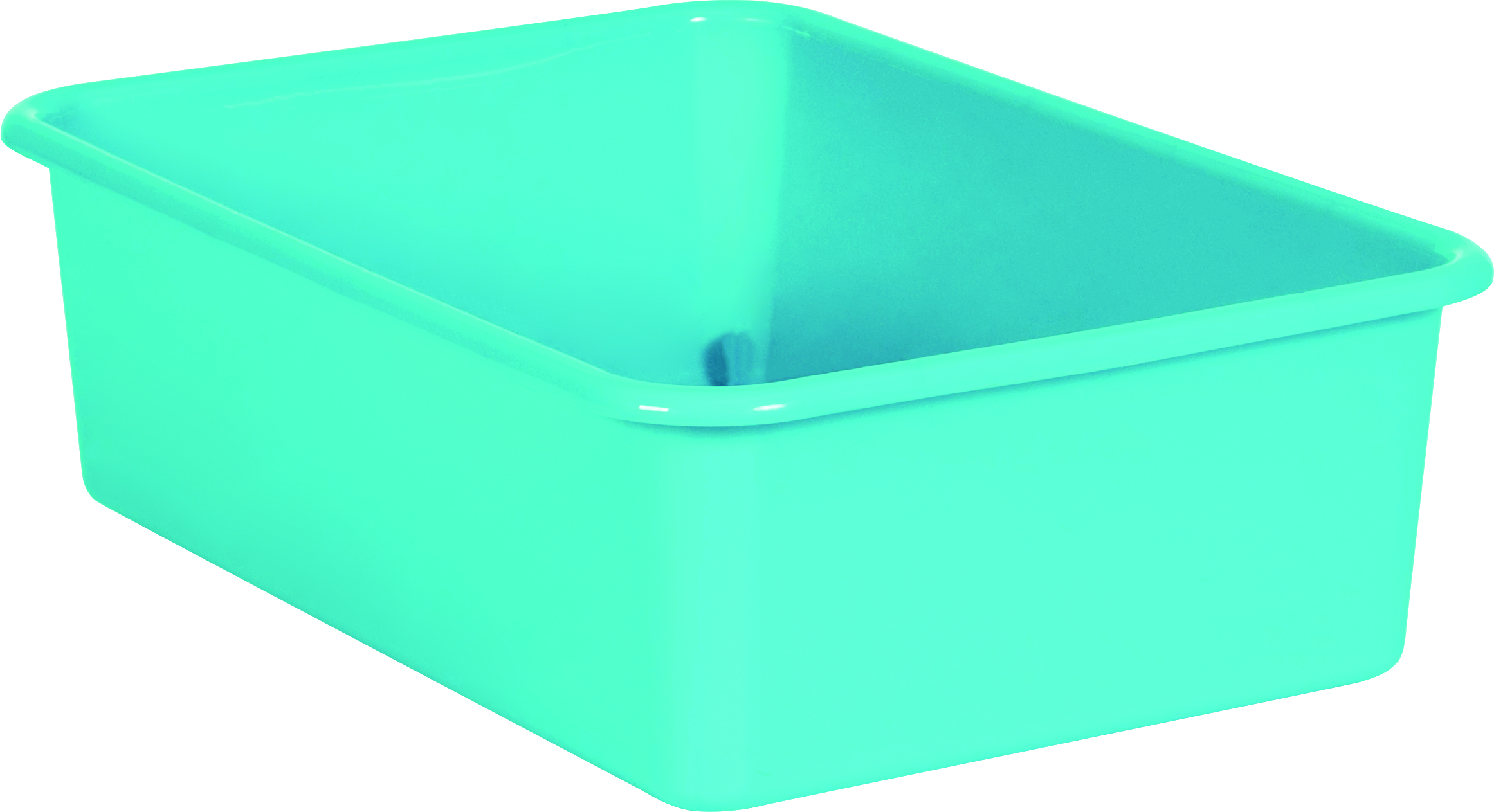 Teal Large Plastic Storage Bin