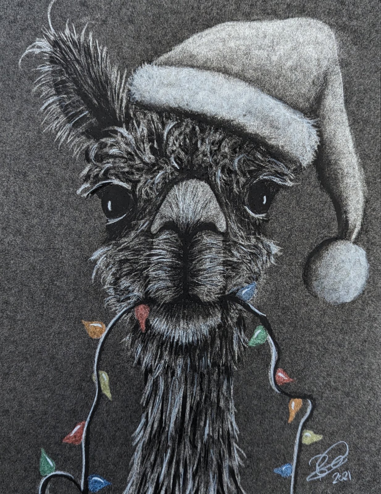 Charcoal Drawing Alpaca eating Christmas lights