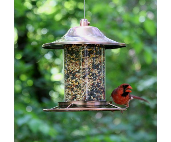PERKY PET COPPER PANORAMA BIRD FEEDER 078978381186