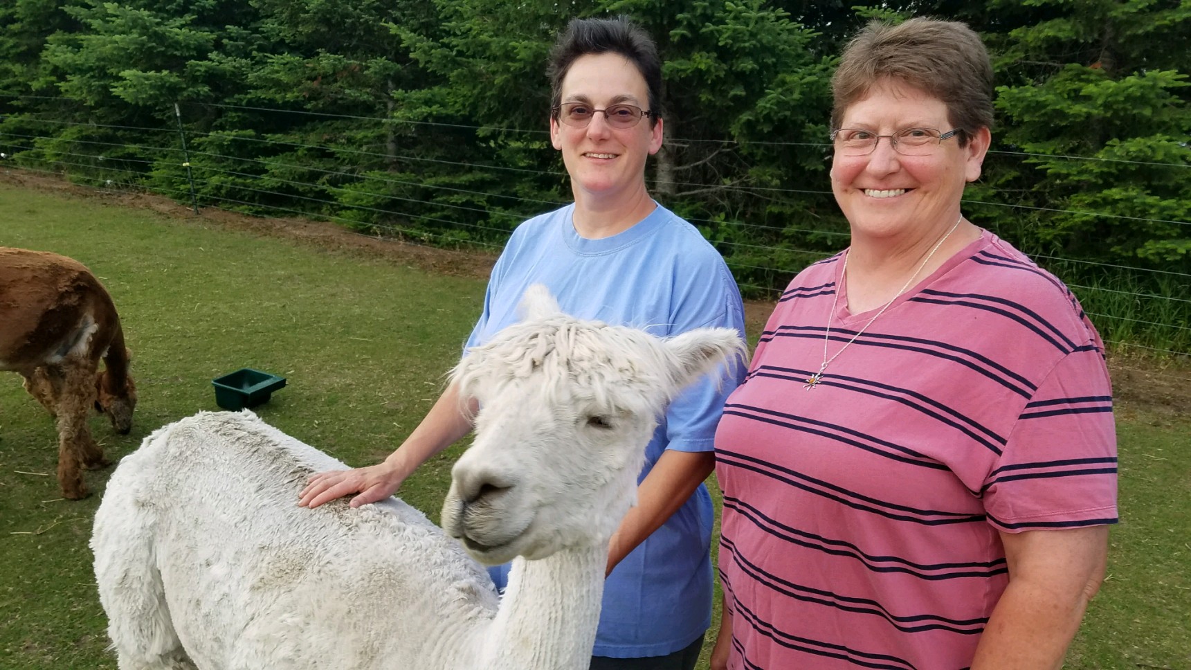 About Us RachAlPacaFiber 18495 Goodwin Avenue, Hastings, Minnesota, 55033