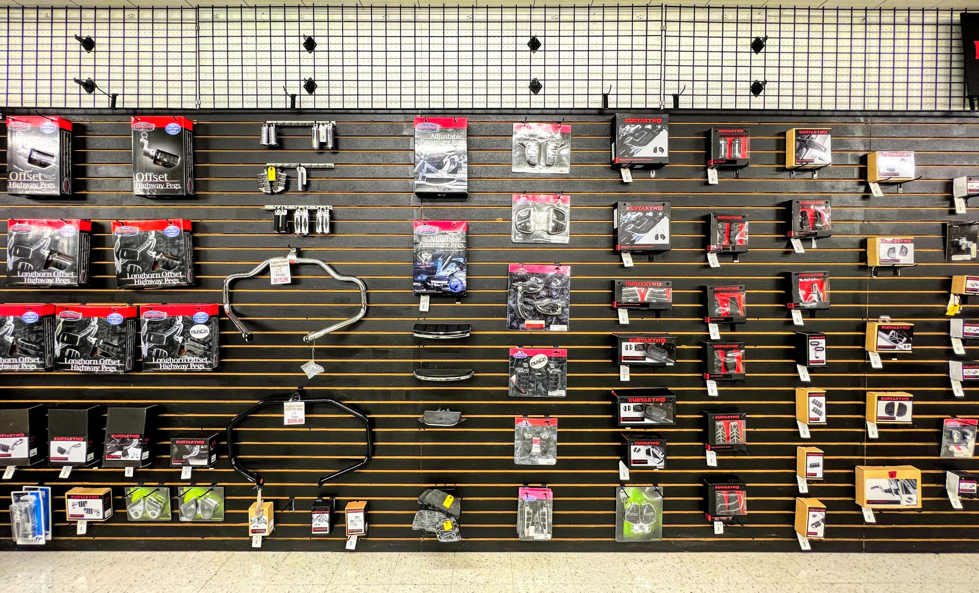 Shopping Parti Animal Cycle Nekoosa, WI