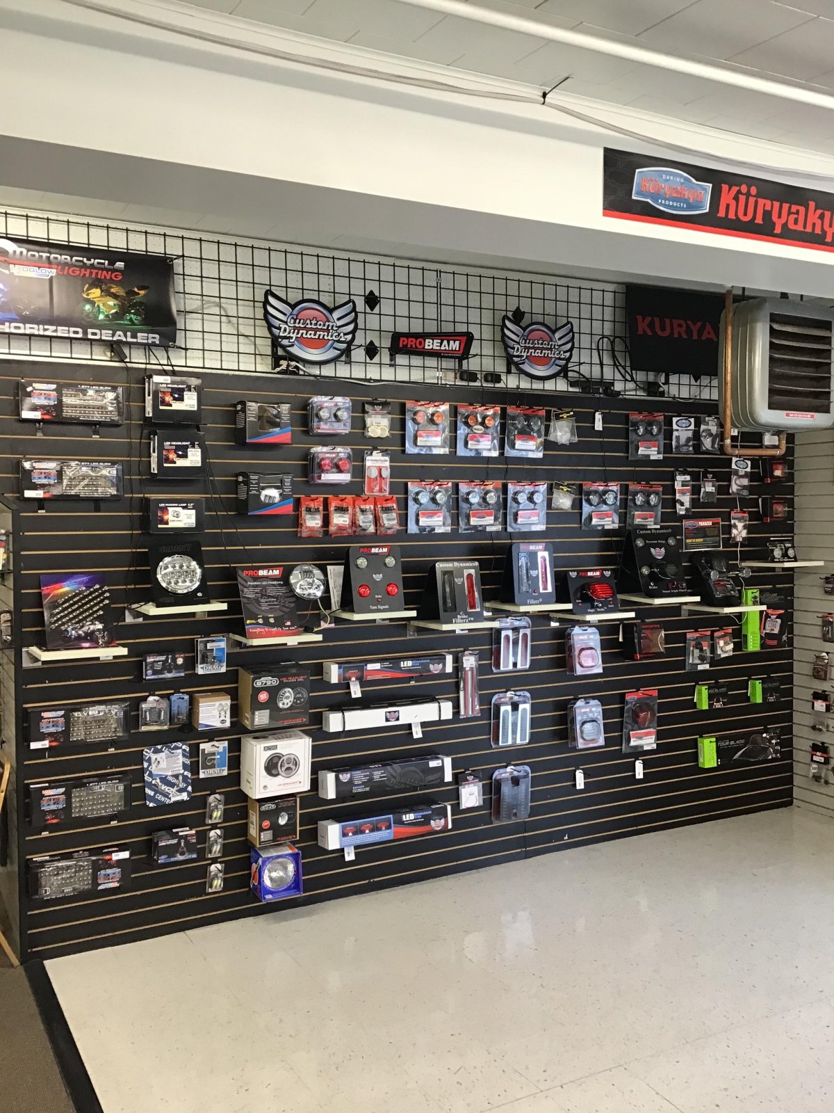 Shopping Parti Animal Cycle Nekoosa, WI