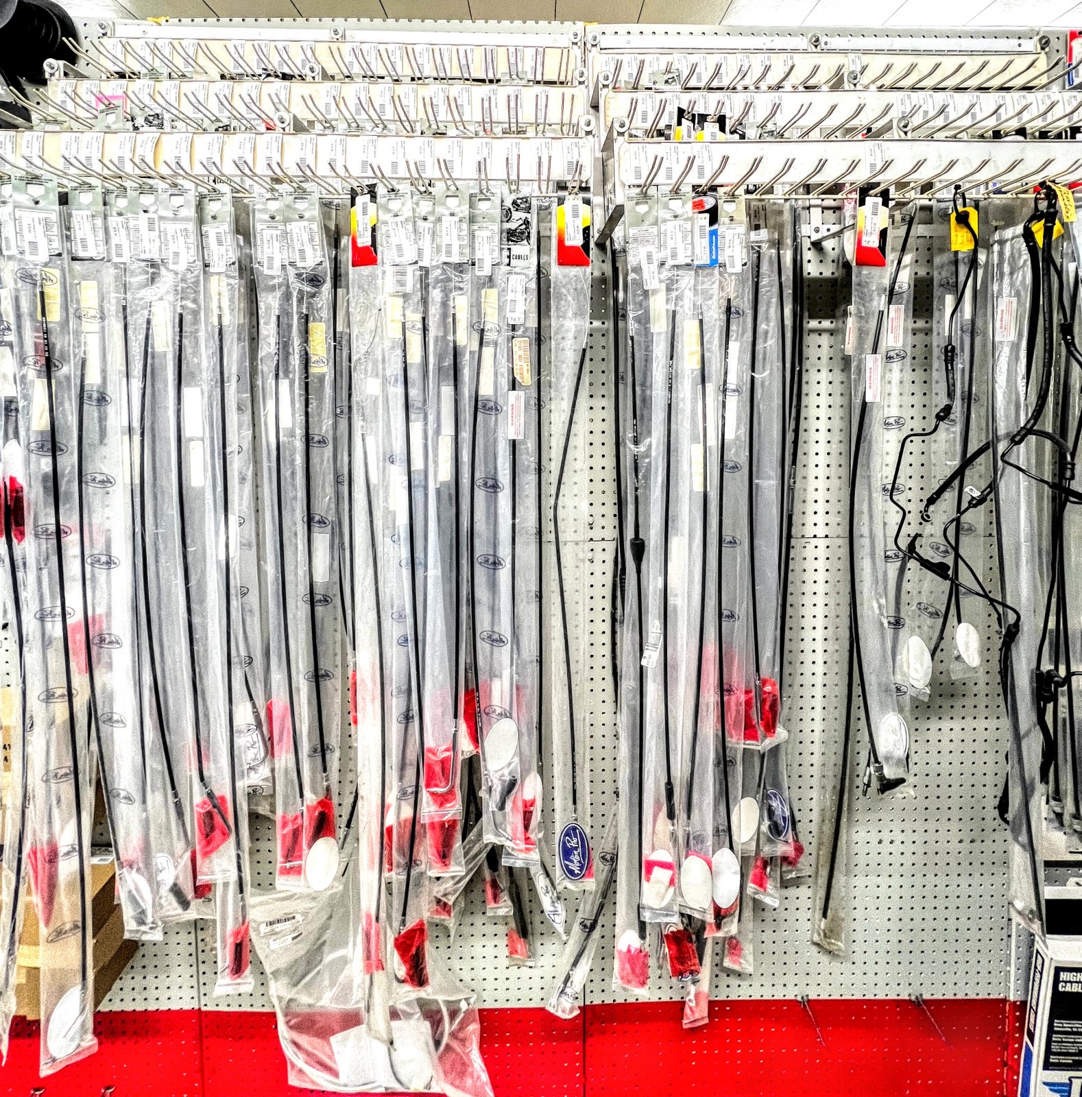 Shopping Parti Animal Cycle Nekoosa, WI