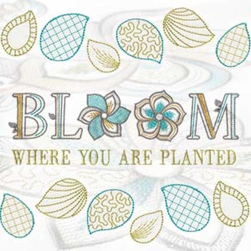 Efflorescence BERNINA Embroidery Design Collection on USB 82010USB