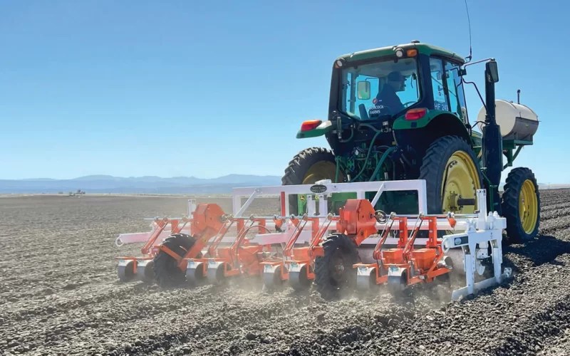 Stanhay S870 Belt Planter Sutton Agricultural Enterprises, Inc.