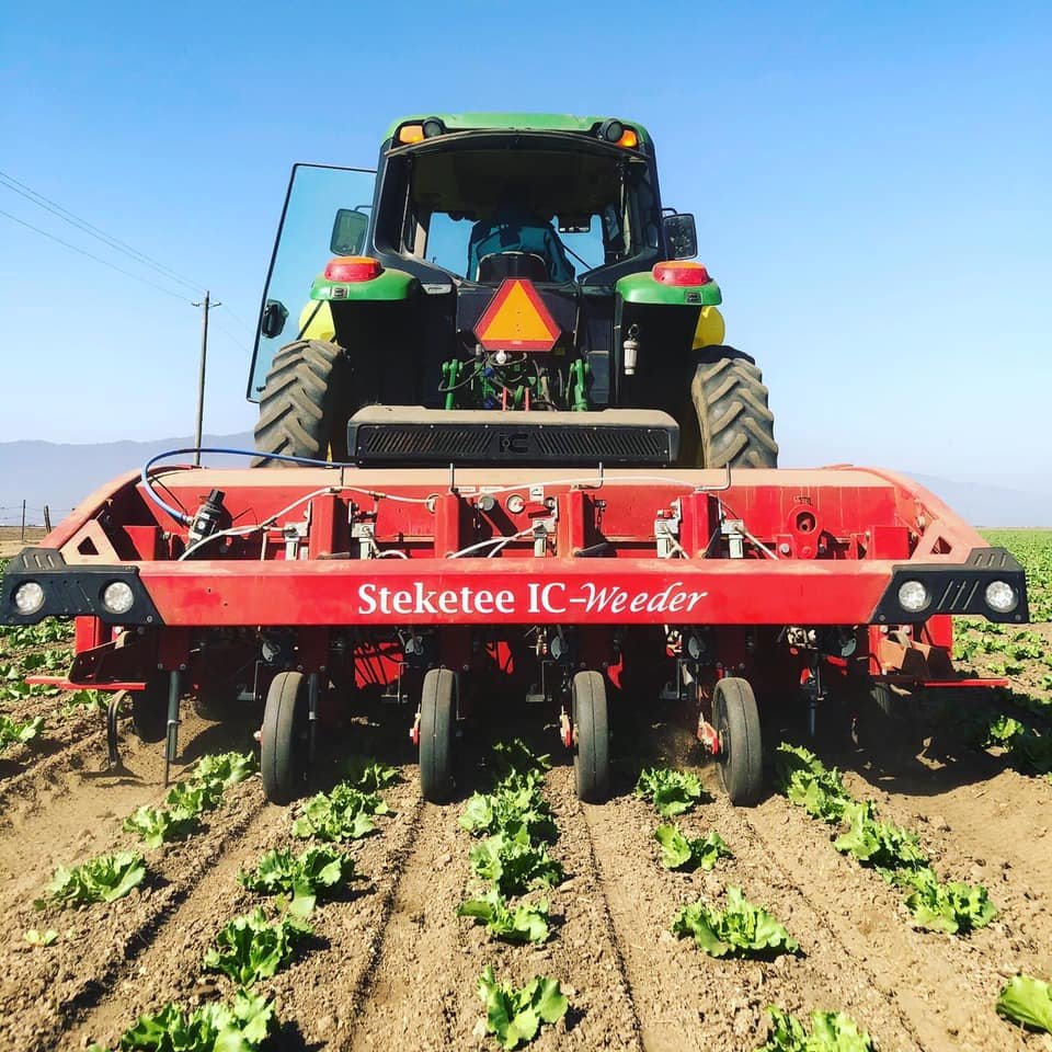 Sutton Agricultural Enterprises, Inc.