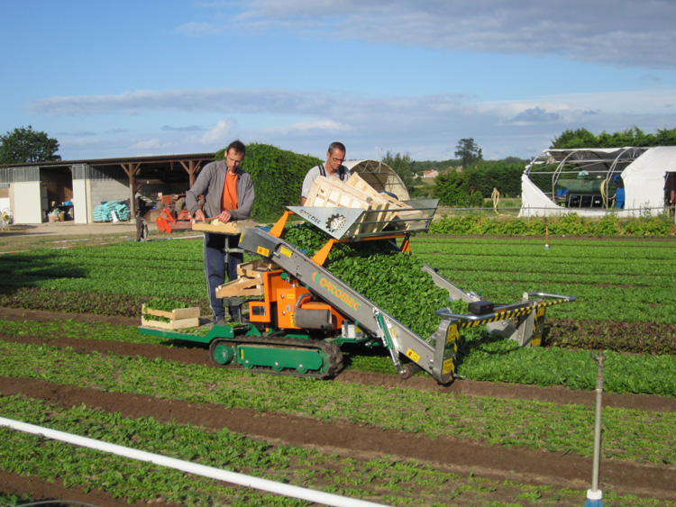 Ortomec 7000 Leafy Crop Harvester Sutton Agricultural Enterprises, Inc.