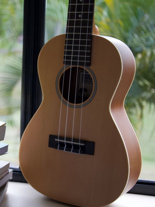 We Buy Instruments The Music Man 5757 Whitmore Lake Road Suite 1200