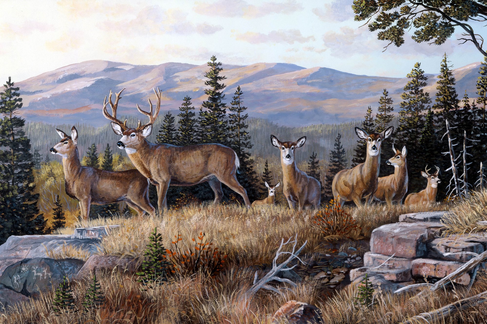 Woodland & Outdoor Prints