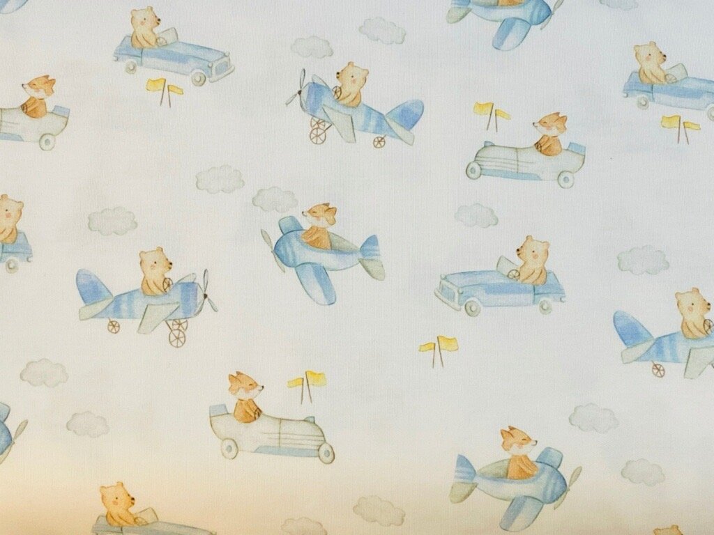 Funny Ride Sea Island Cotton Baby Knit Fabric Print