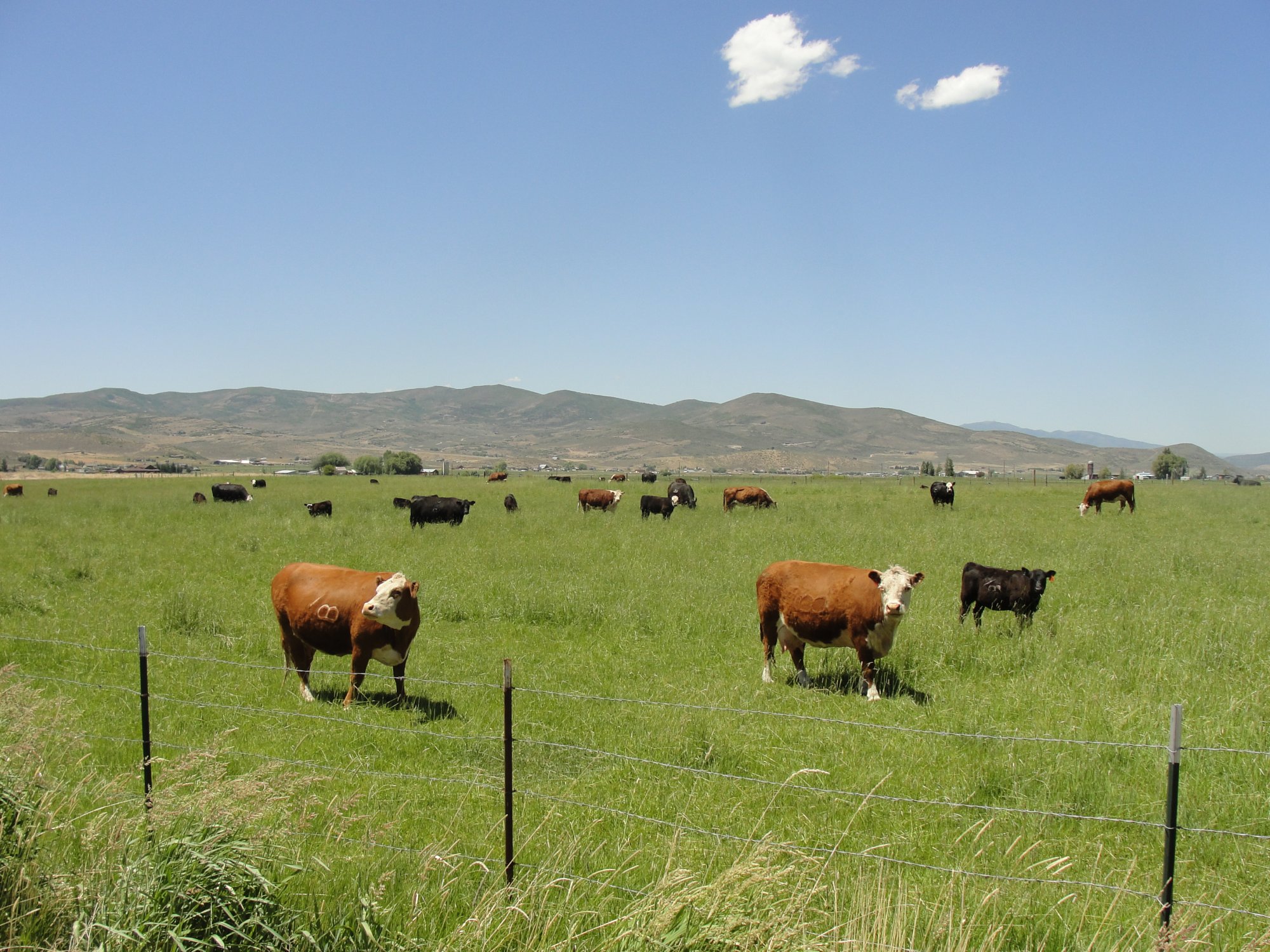 Francis, Utah Home of Frontier Days Ideal location to Live & Play!