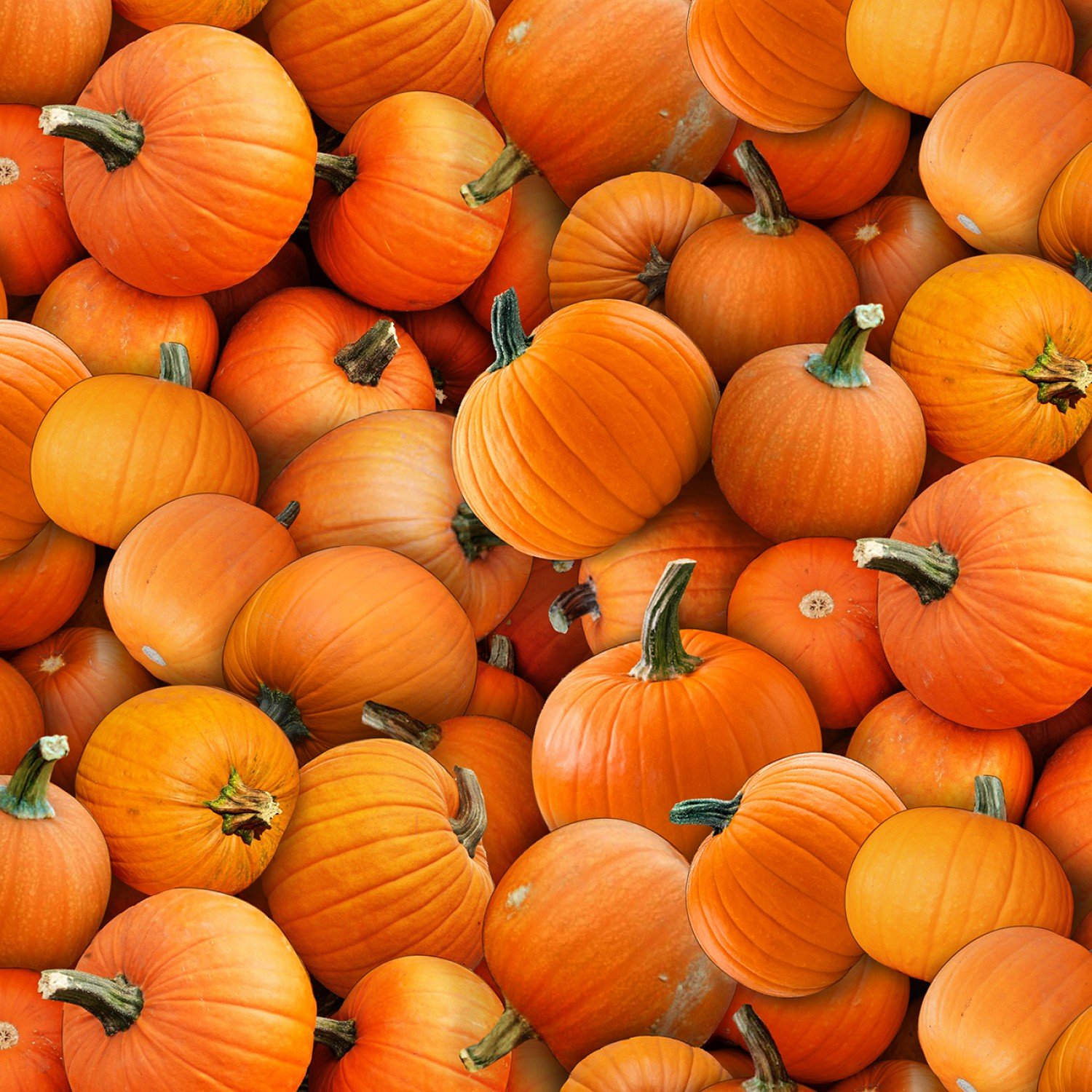 Orange Pumpkins