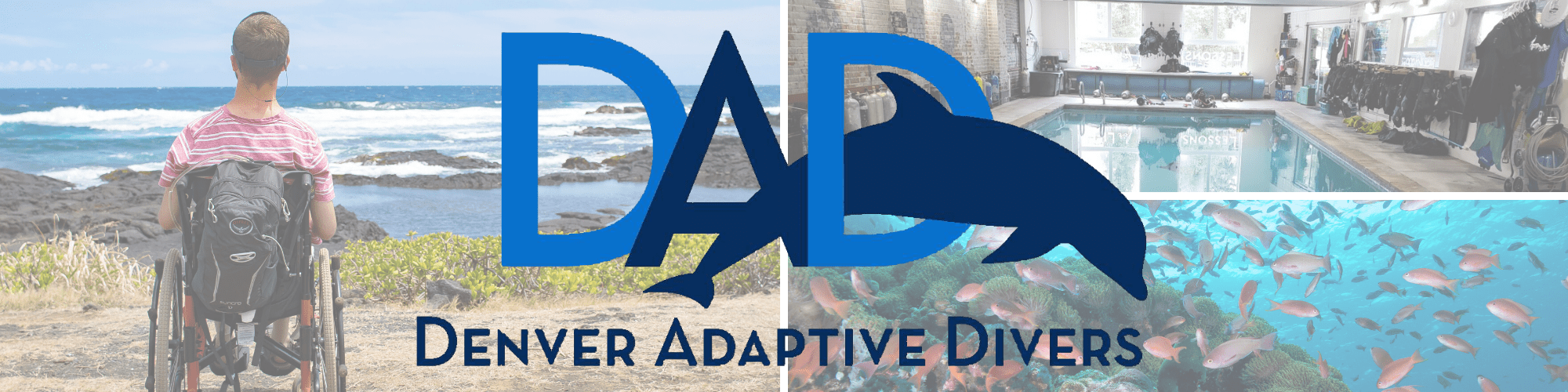 Denver Adaptive Divers
