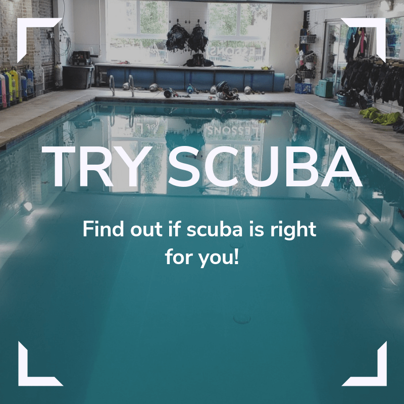 fitmingo Scubacertificering Denver