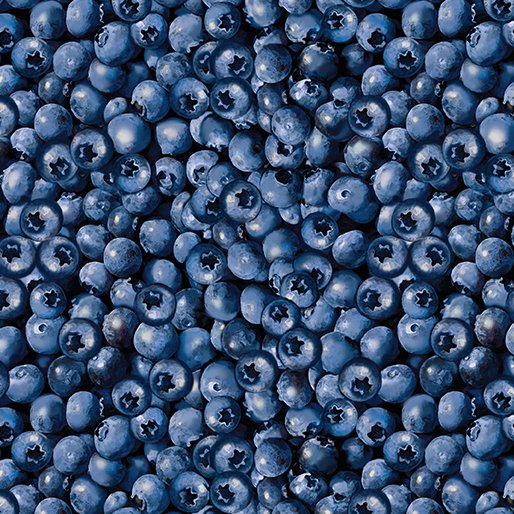 Blueberry Hill Packed Blueberries 617467064072