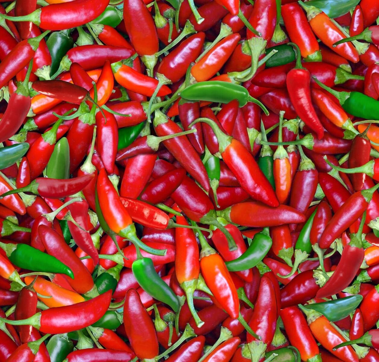ESFood Festival 576 Chili Peppers