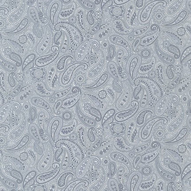 Paisley Prints Grey 4214D22