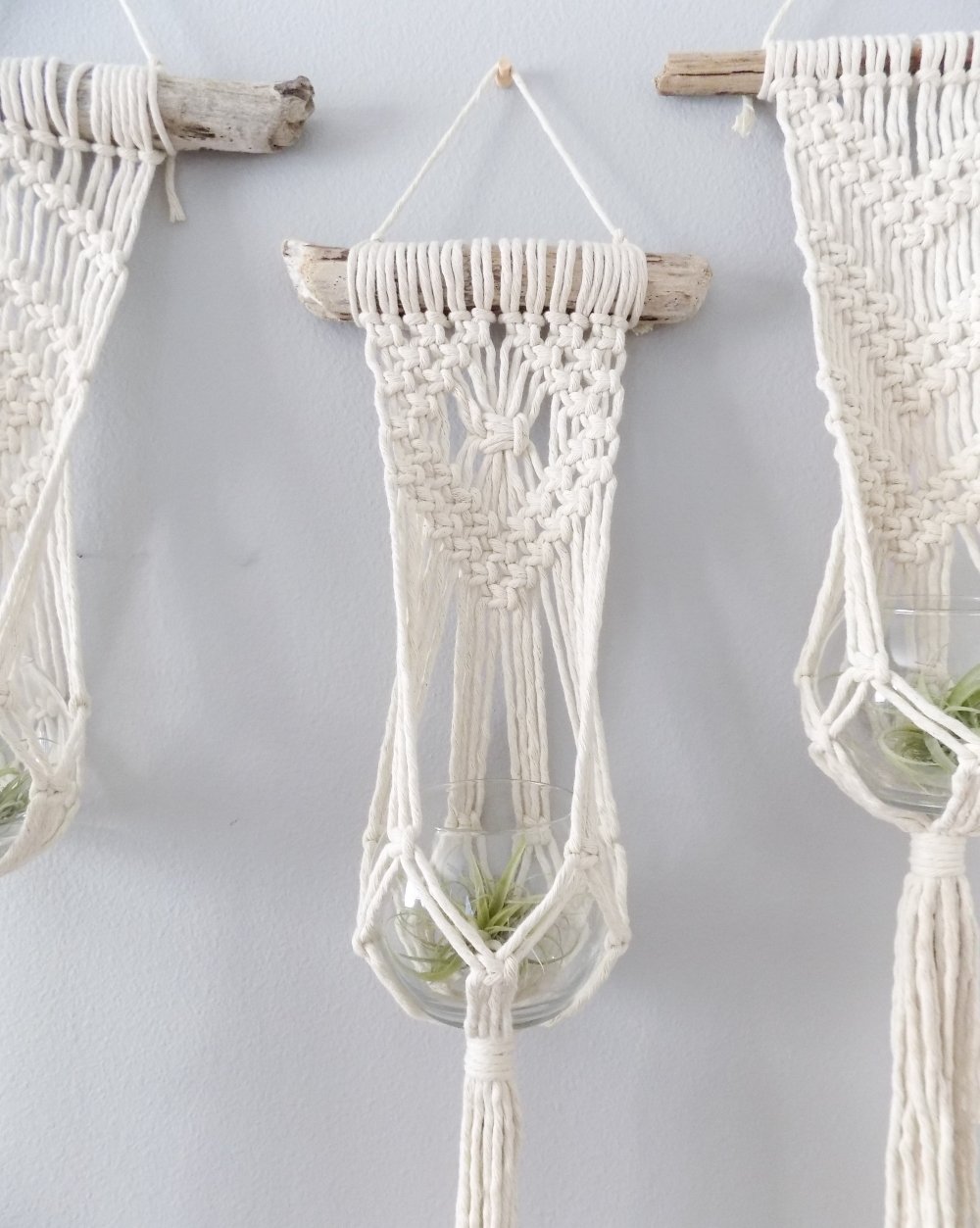 Hive Beginning Macrame Driftwood Plant Hanger