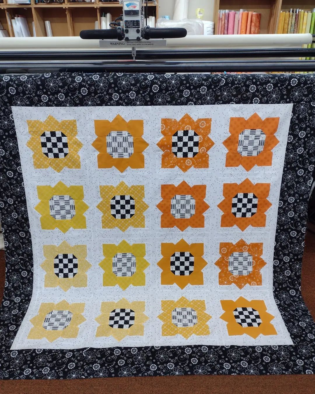 Sunflower Seeds Quilt Class (Grangeville)
