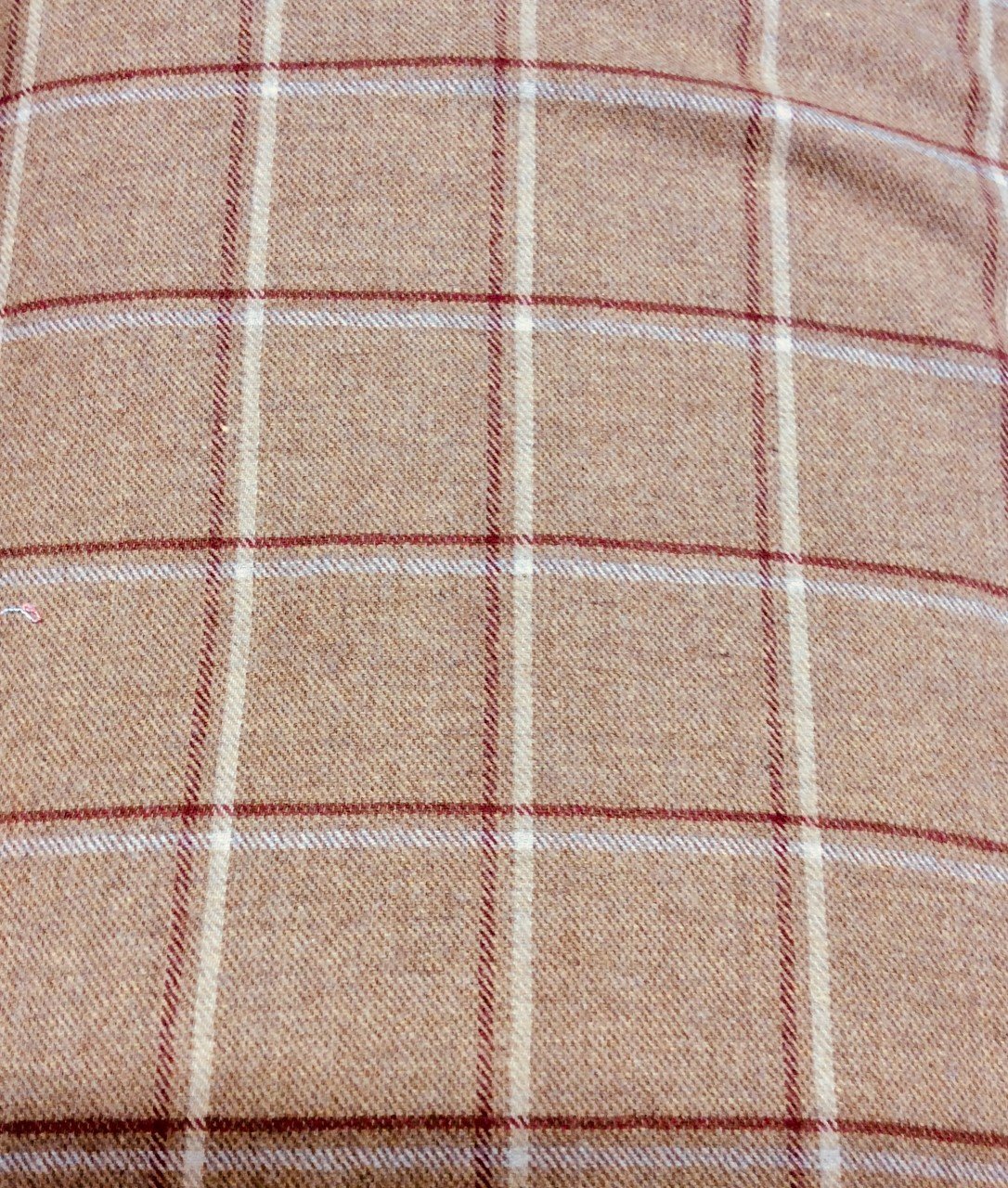 Plaid Wool TAN / CREAM / RED