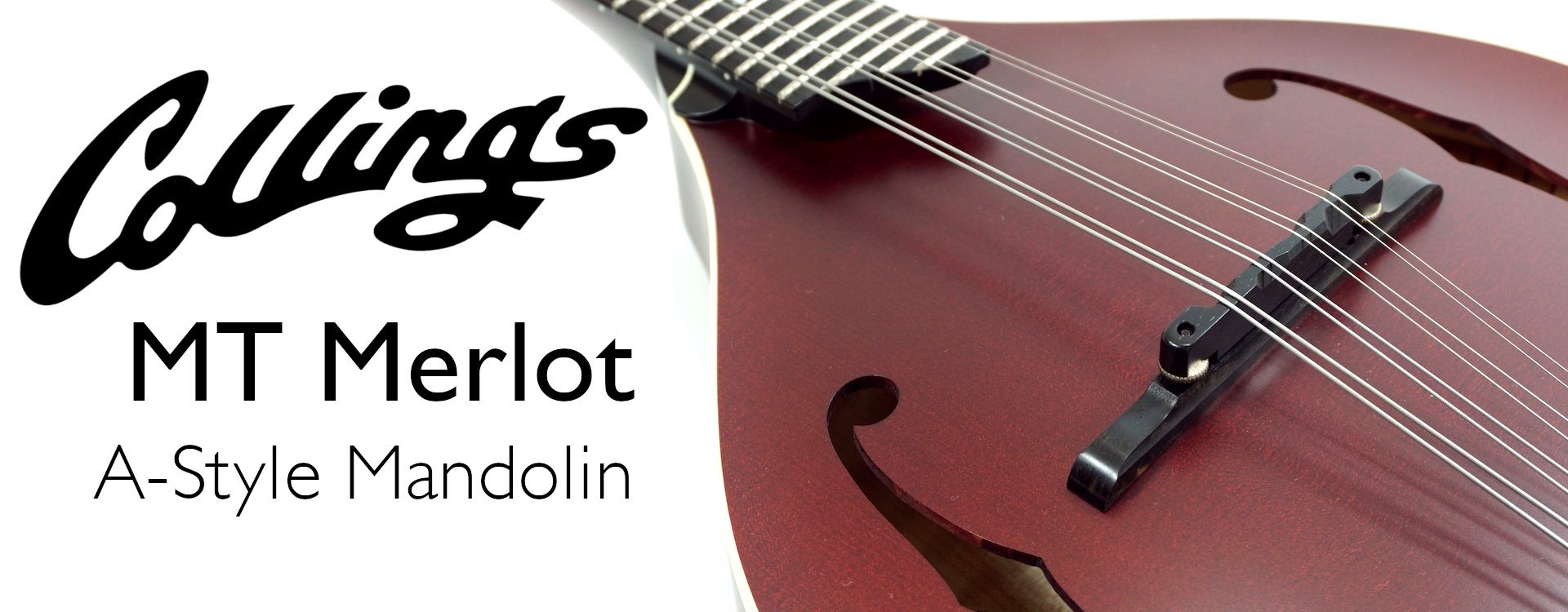 Denver Music Stores Guitar Shops The Denver Folklore Center