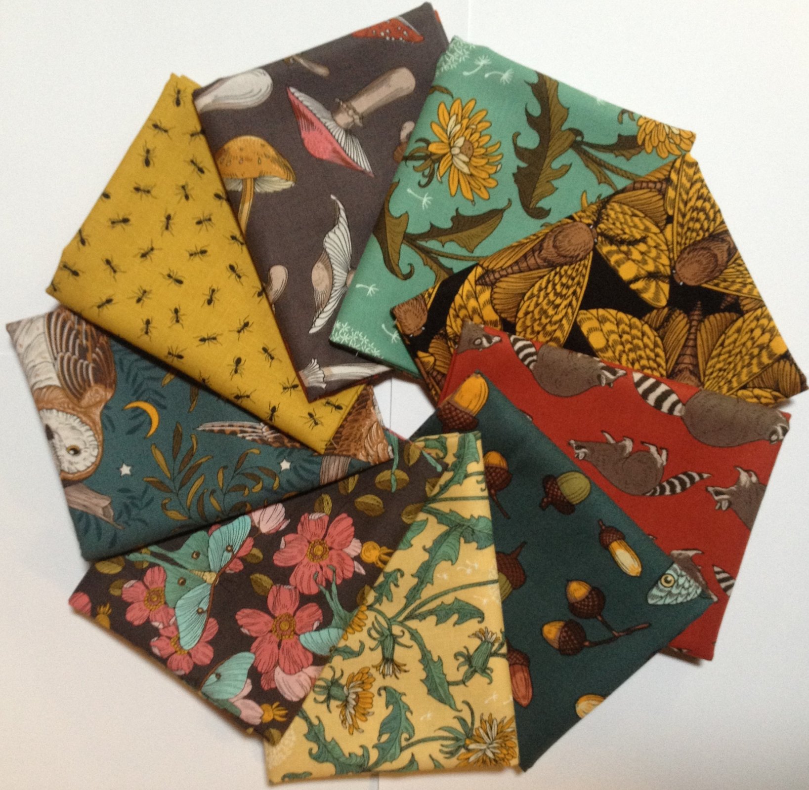 Forest Floor 9 Piece FQ Bundle by Rachel Hauer for Free Spirit Fabrics