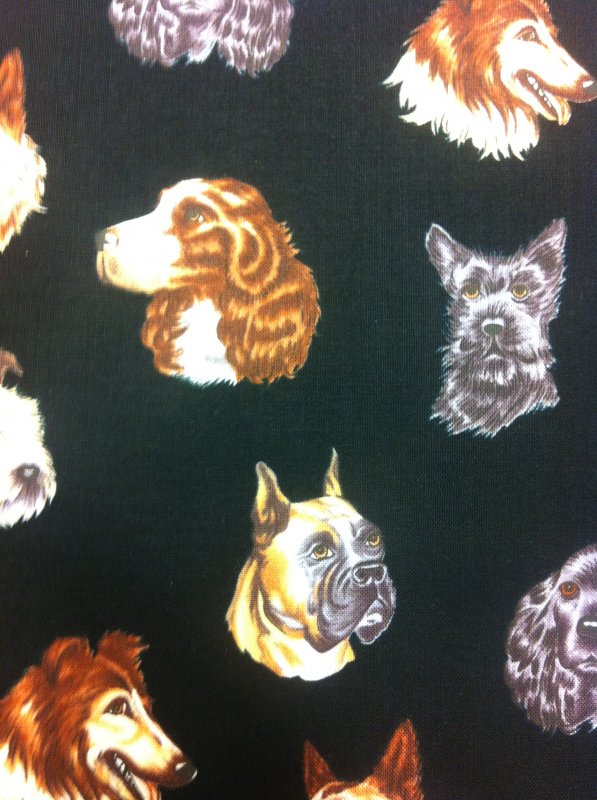 Dogs Boxer collie German Shepard Scottie terrier dog heads floating